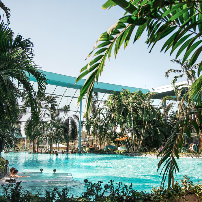 Tropenbad mit großem Pool, vielen Palmen und offenem Glasdach.