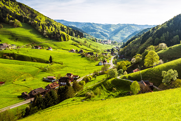 Muensterland im Schwarzwald.