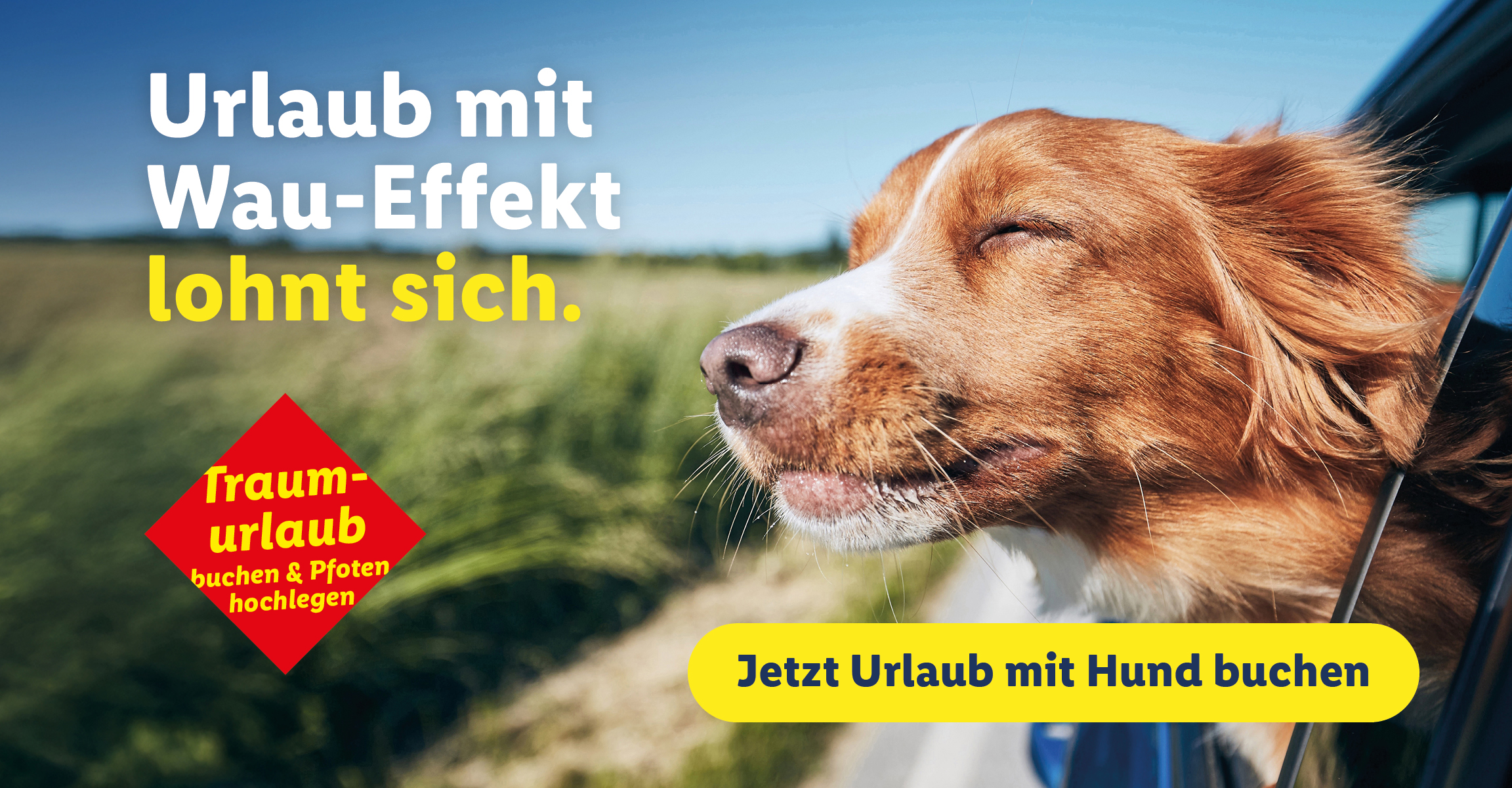Urlaub mit Wau-Effekt lohnt sich. Traumurlaub buchen & Pfoten hochlegen. Jetzt Urlaub mit Hund buchen