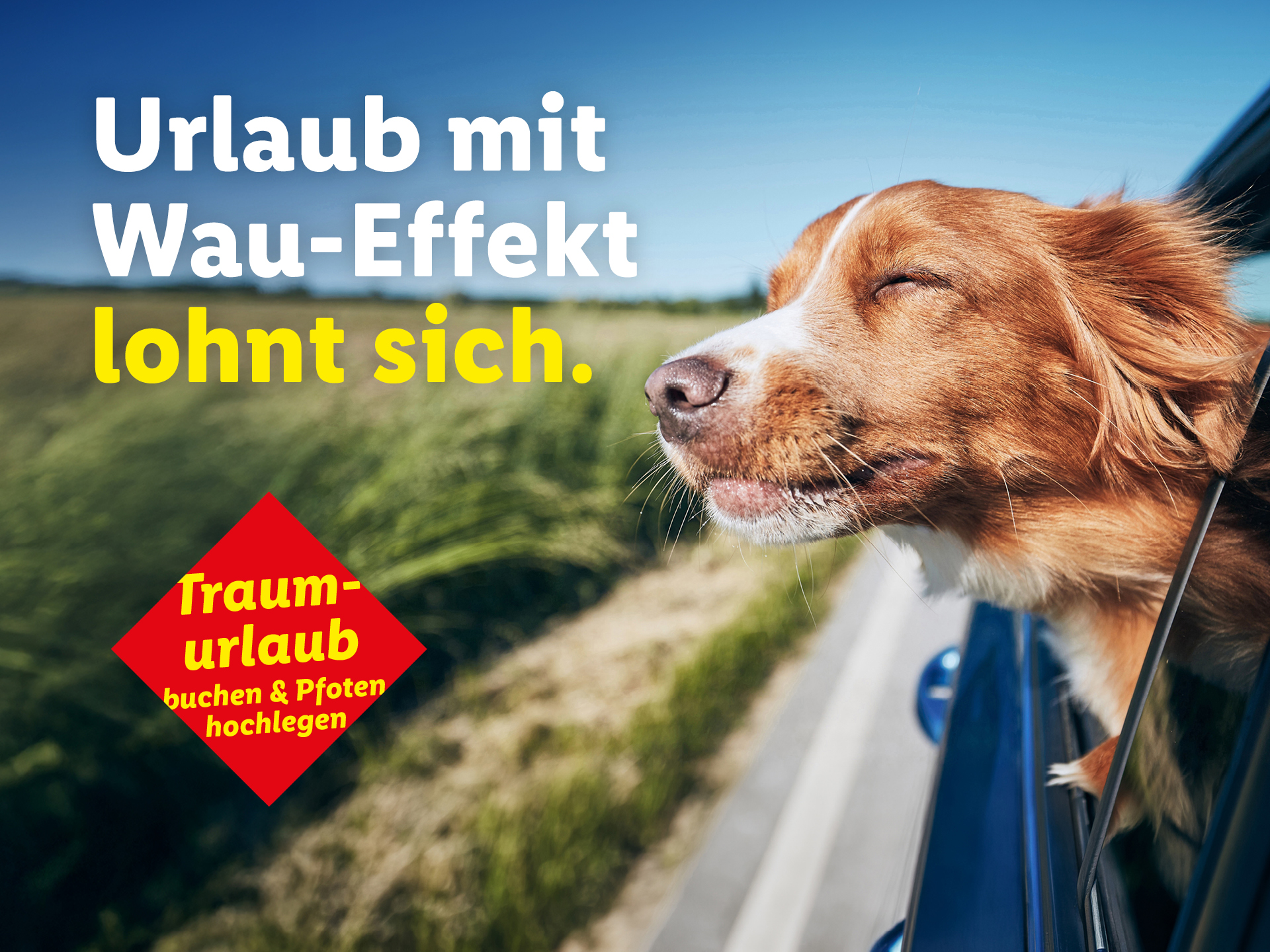 Angebots-Teaser für Urlaubsangebote mit Hund: Urlaub mit Wau-Effekt lohnt sich. Traumurlaub buchen & Pfoten hochlegen.