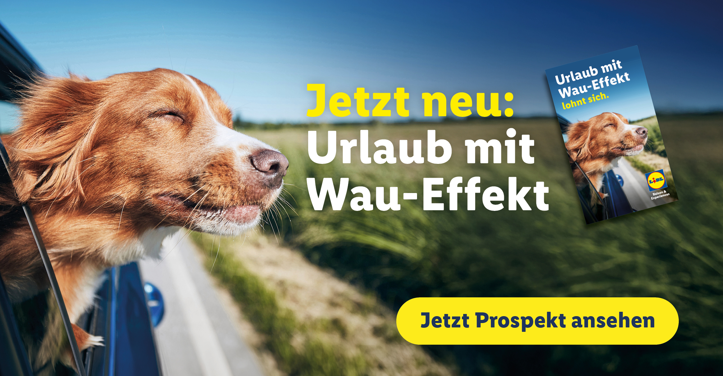 Angebots-Teaser für Urlaubsangebote mit Hund: Urlaub mit Wau-Effekt. Jetzt Prospekt ansehen. Beim Klick wird man auf das "Urlaub mit Hund"-Prospekt weitergeleitet.