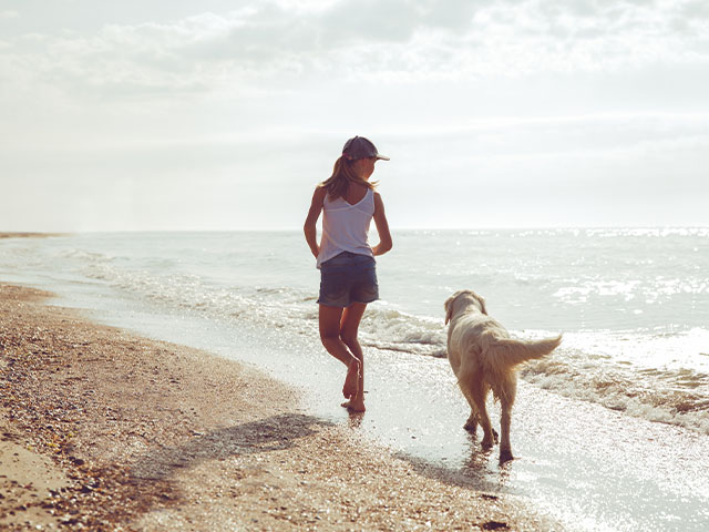 Ein Hund läuft mit einer Frau am Strand entlang.