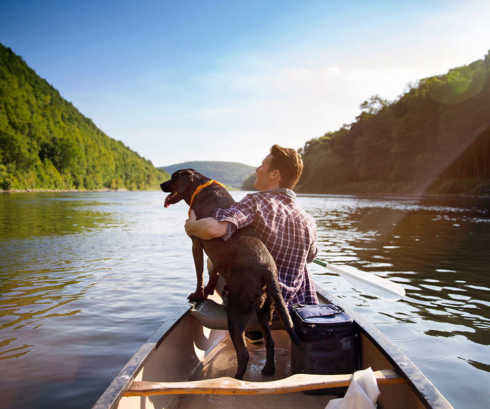 Ein Hund sitzt mit seinem Herrchen am Ufer eines Sees und genießt die Berglandschaft.