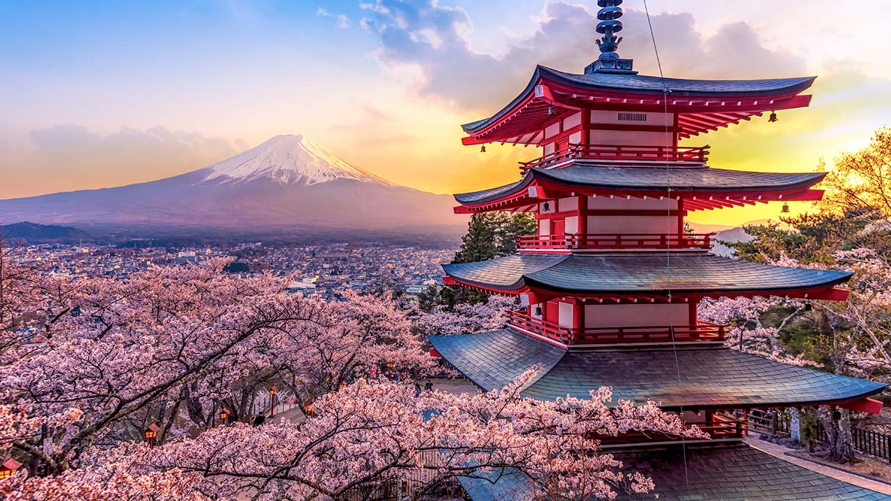 Rosa Kirschblüten mit Blick auf den schneebedeckten Mount Fuji im Abendlicht.