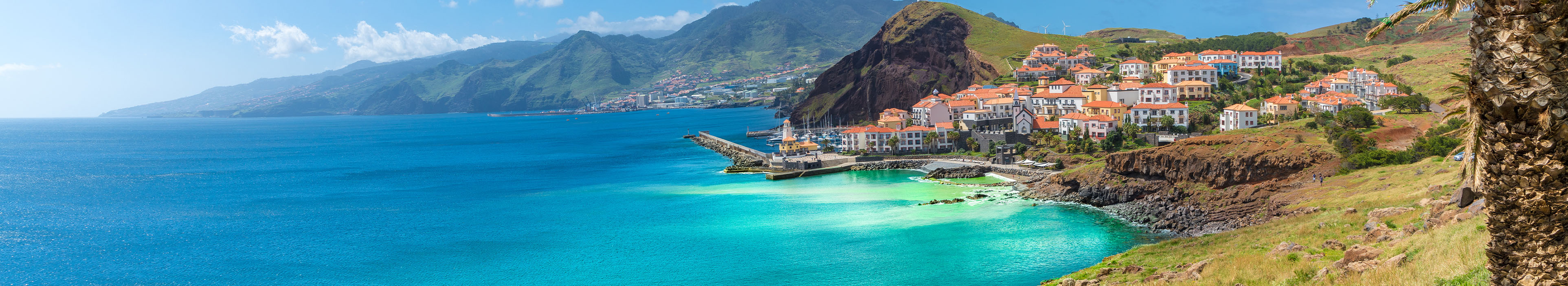 Küste auf Madeira, Häuser, Palme, Wiese und Berge im Hintergrund. Links das türkisblaue Meer. 
