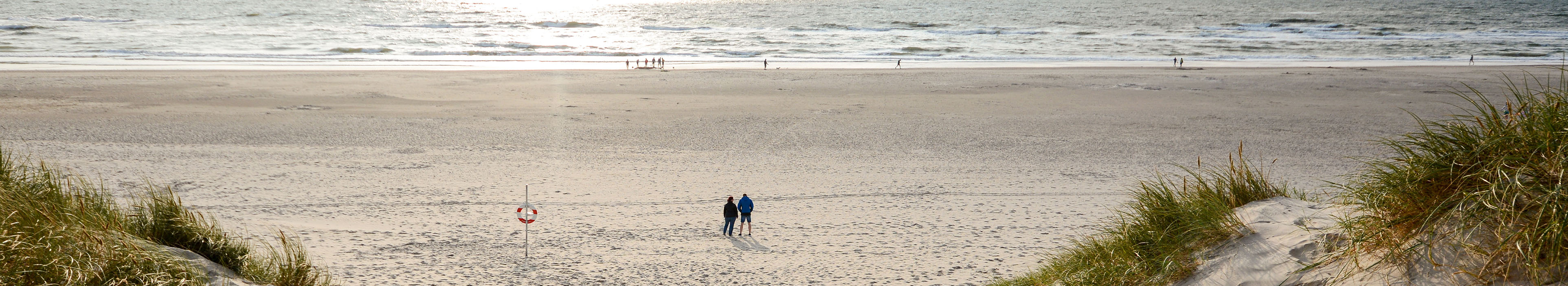 Küste mit Sandstrand in Dänemark