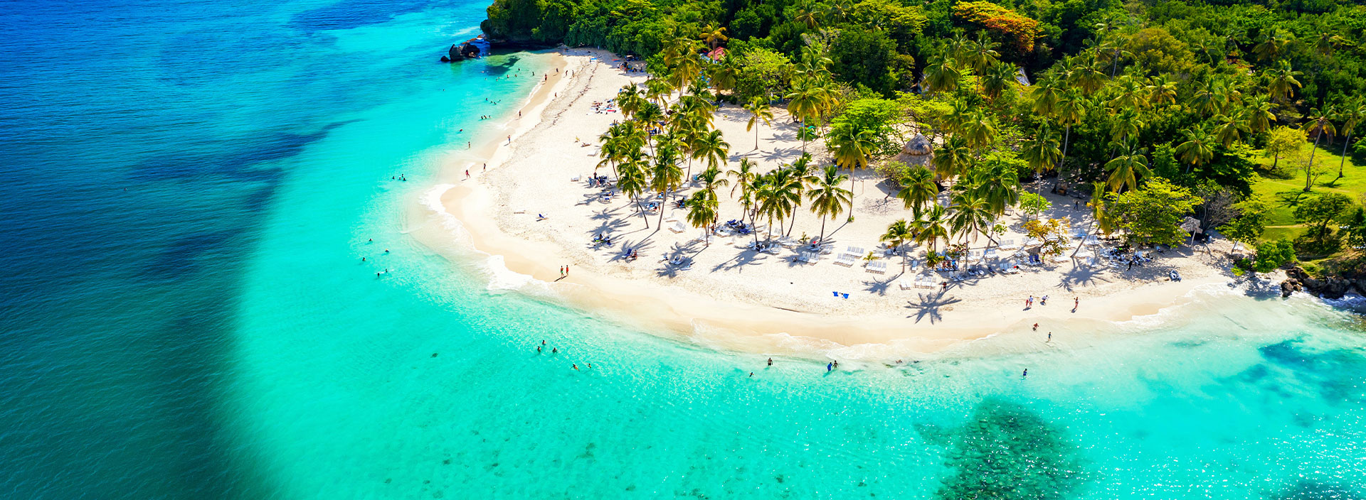 Palmenstrand Karibik