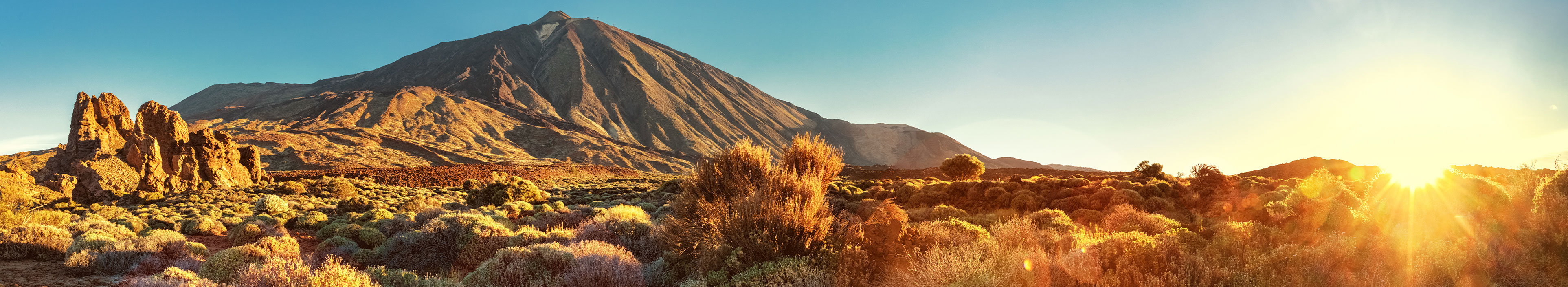 Urlaub Teneriffa. Gelbe Büsche und Vulkan Teide unter hellblaubem Himmel.