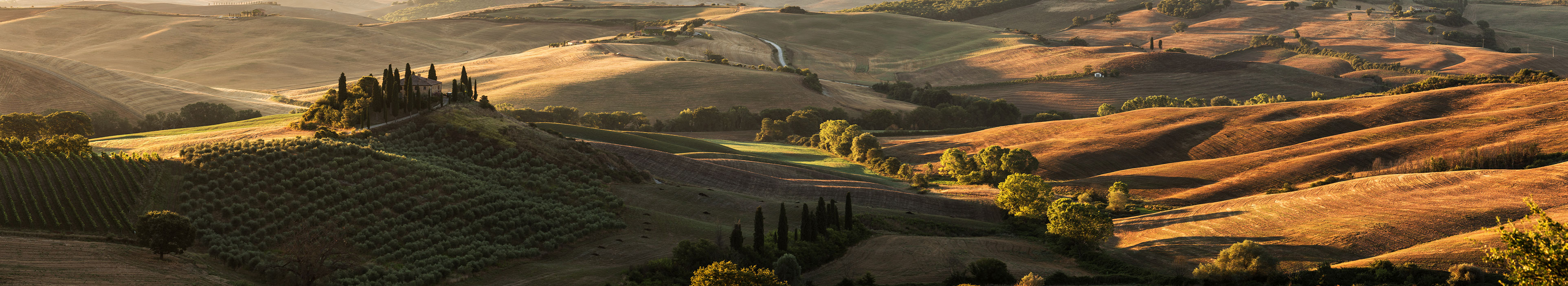 Landschaft in der Toskana