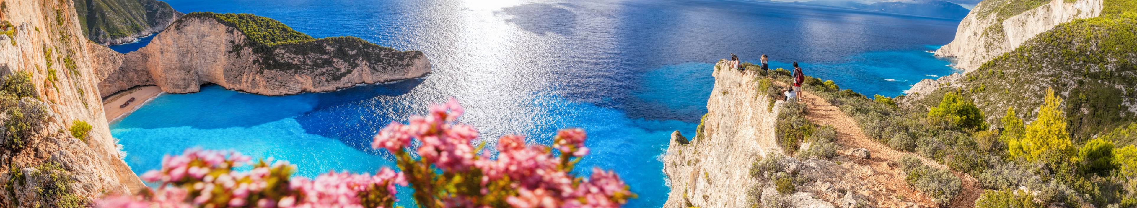 Strand von Navagio mit Schiffswrack und Blumen auf der Insel Zakynthos in Griechenland