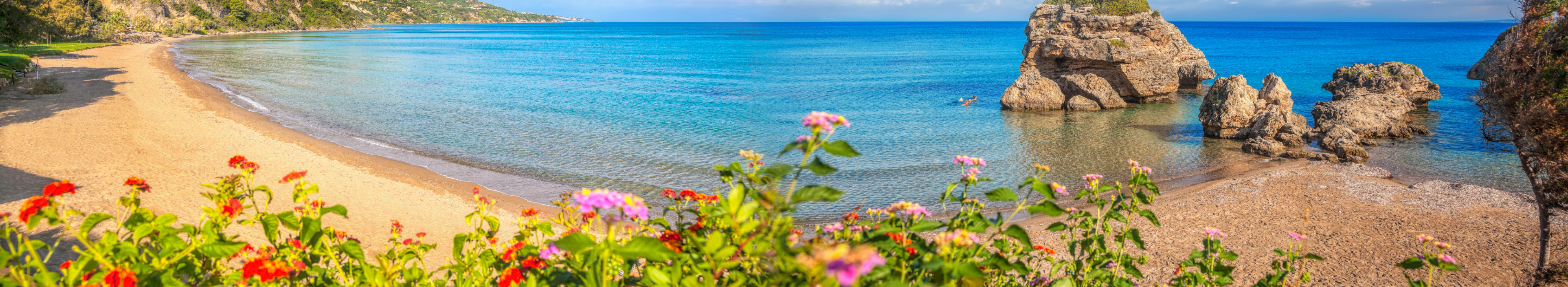 Panorama des Strandes Porto Zorro mit bunten Blumen auf der Insel Zakynthos, Griechenland