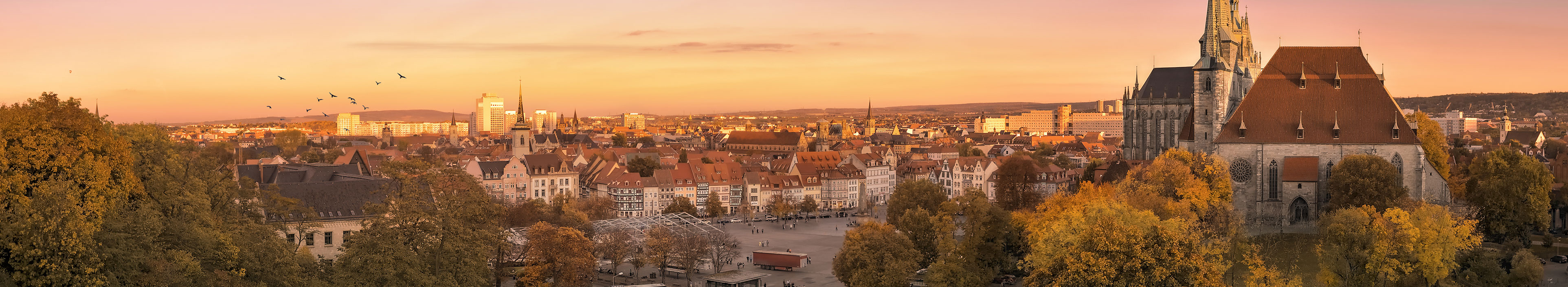 Erfurter Dom - Panorama