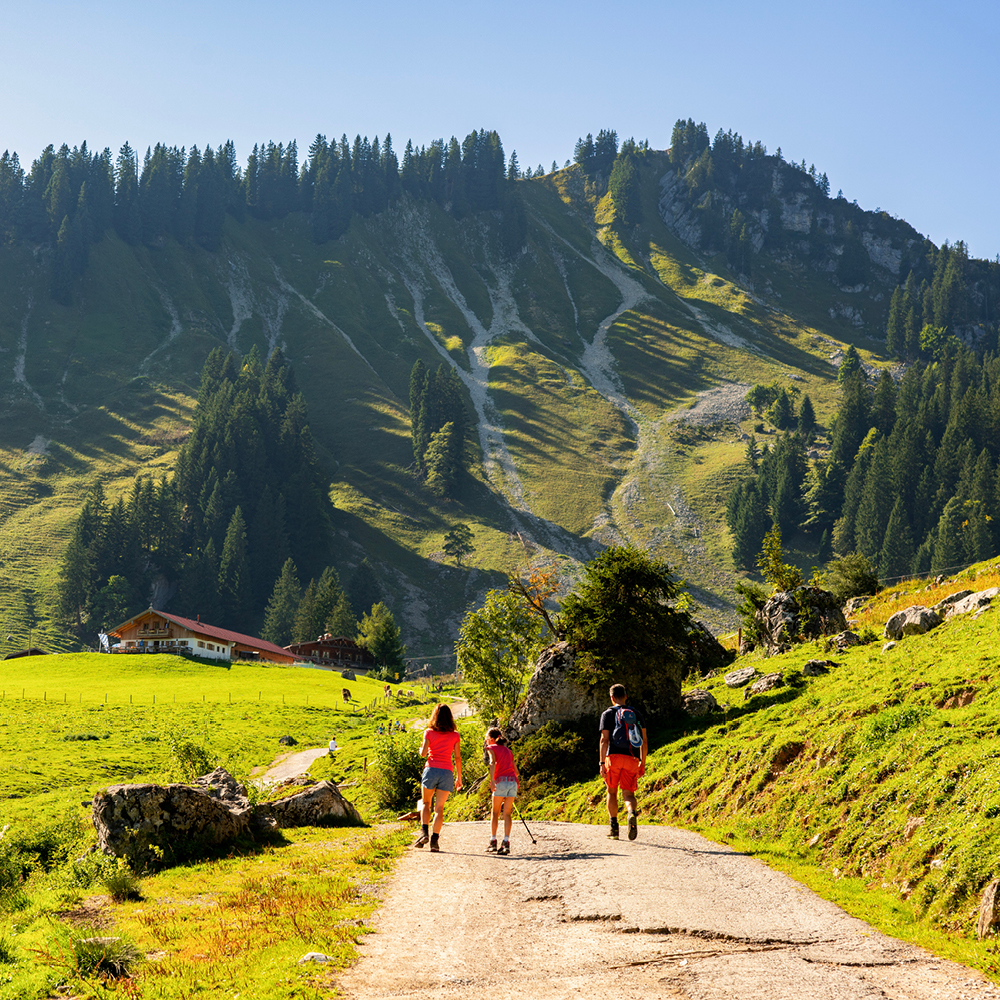 Drei Personen wandern einen breiten Schotterweg hinauf in Richtung...